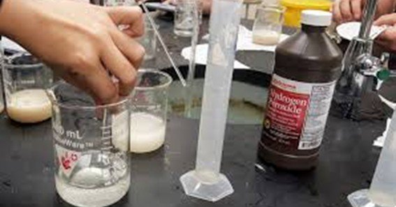 why does yeast dropped into hydrogen peroxide sink in water