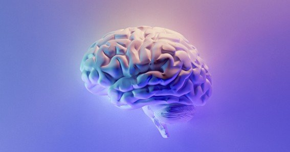 neurologist panama city fl